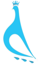 icon footer mobile